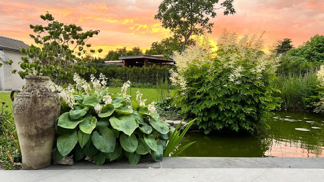 Ikigai B&B - Wellness Oud-Turnhout Exterior photo